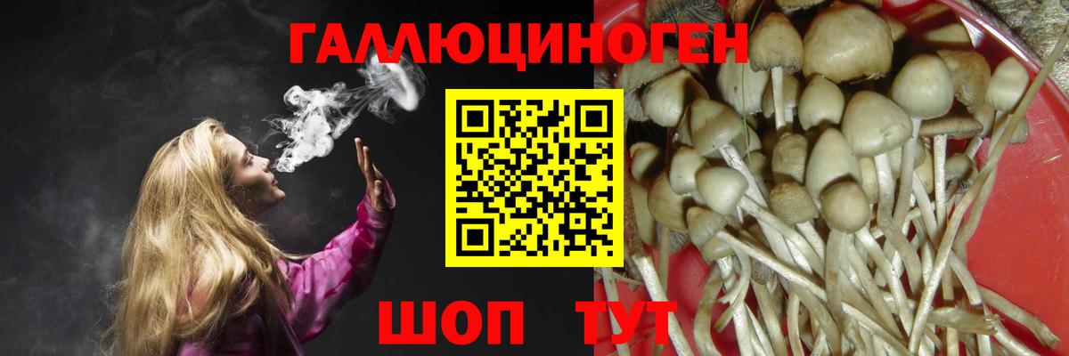 Уссурийск  Галлюциногенные грибы MAGIC MUSHROOMS  Вход с VPN 